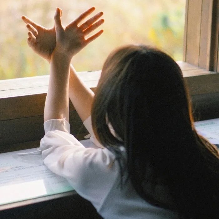 我的青春道馆封面